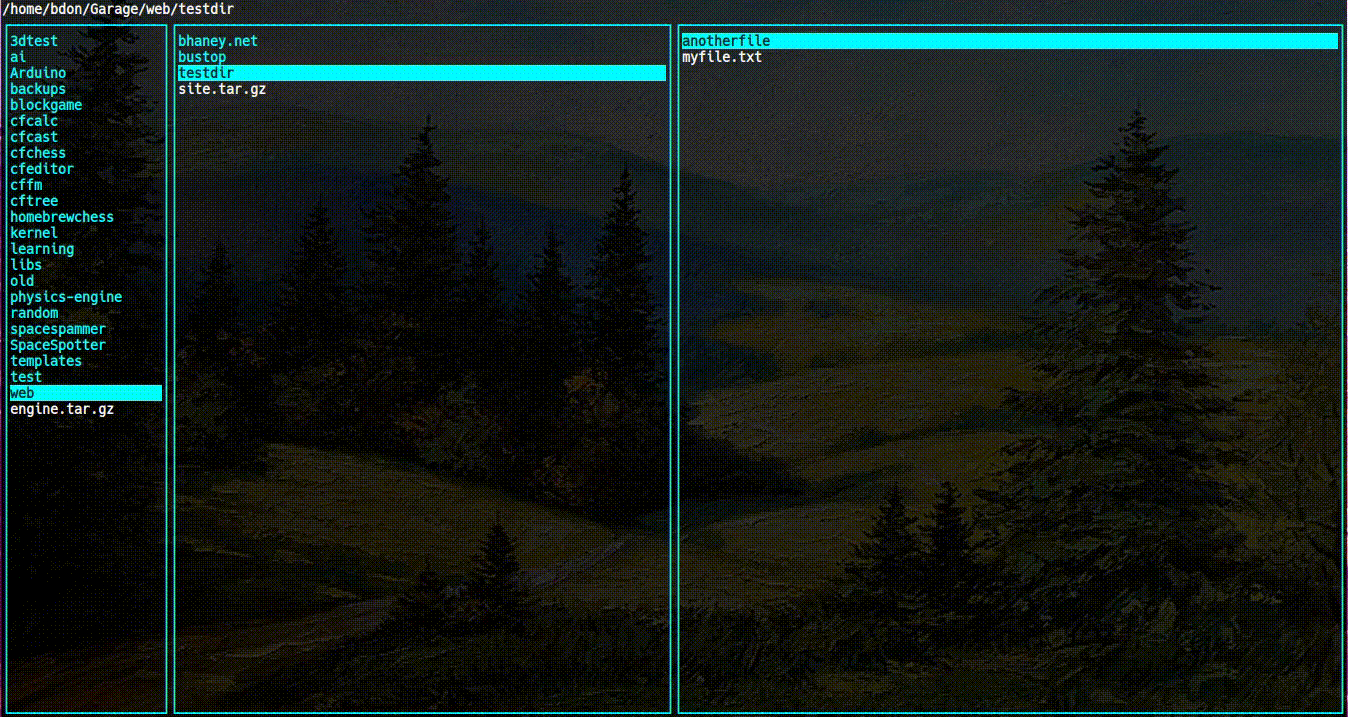 Still frame from the CFFM file browsing demonstration.