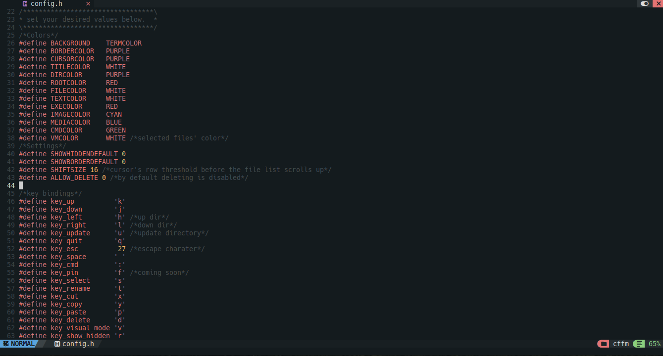 CFFM config.h showing color values, settings, and key bindings.